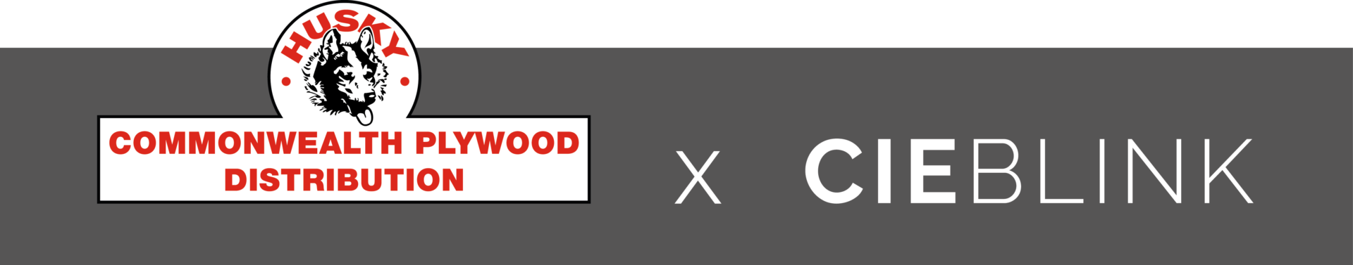 PARTENARIAT cpd et cieblink (logo)-29